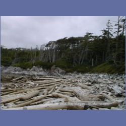 2001_131_Typhoon Island_Kildidt_Sound.html
